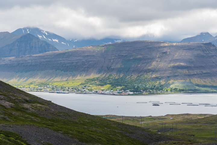 Gat á sjókví „í nokkurn tíma“ í Dýrafirði