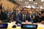 Íslensk stjórnvöld mótmæla sjaríalögum og grýtingum á samkynhneigðum í Brúnei