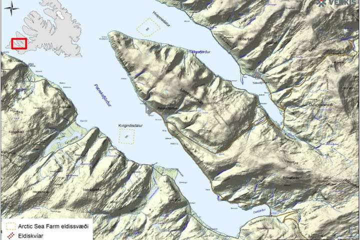 Forstjóri Arctic Fish segir skoðun á kynþroska eldislaxa í slysasleppingu ólokið