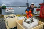 Strandveiðar byrja með brælu og brosi