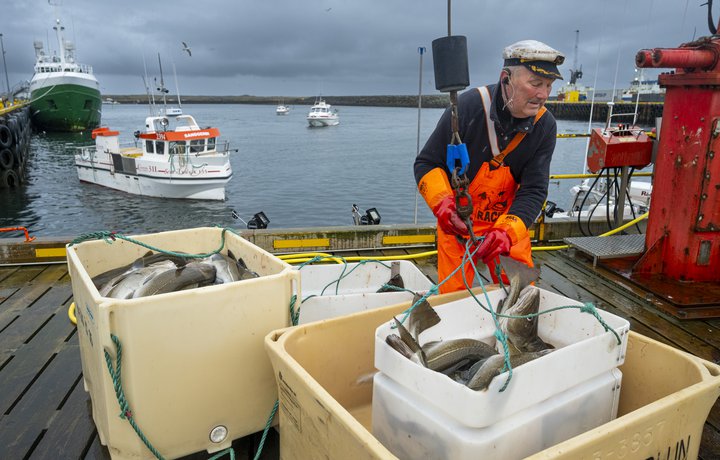 Strandveiðar byrja með brælu og brosi