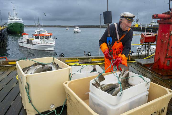 Strandveiðar byrja með brælu og brosi