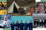 Edda og Ástarpungarnir, Eurovision-tónleikar og Minningarbankinn