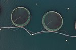 Laxeldisandstæðingum fjölgar um helming