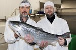 Íslendingar gefa Arnarlaxi laxeldiskvóta sem norska ríkið selur á 12,5 milljarða