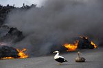 Náttúran breytt eftir fimmta eldgosið