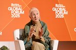 Jane Goodall hefði glöð skotið Pútín og Trump út í geim