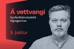 Á vettvangi með kynferðisbrotadeildinni: Konur í viðkvæmri stöðu