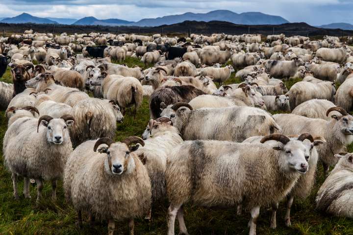 Óeðlilegt augnaráð vakti ótta um banvænan sjúkdóm