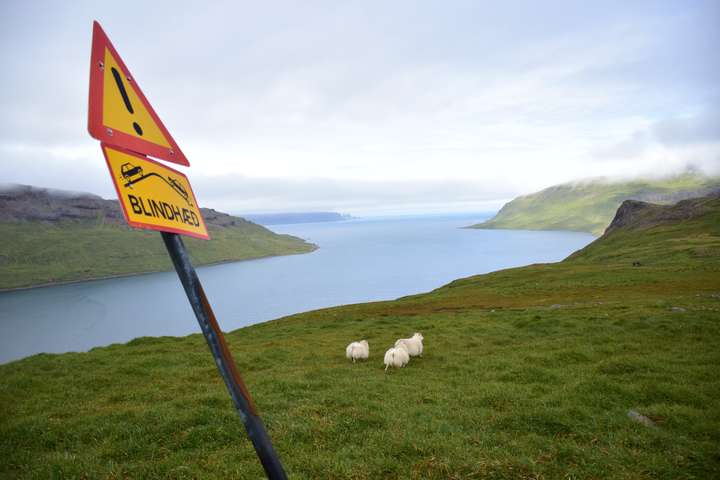 Hvað tefur sameiningu Orkubús Vestfjarða og RARIK?