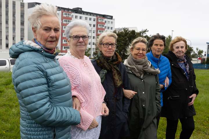Mótmæla Breiðholtsskipulagi: „Komm on, notið hausinn!“