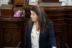 Segir ekkert samtal eiga sér stað innan nefnda Alþingis