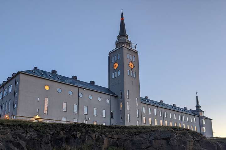 Hreinsunaraðgerðir vegna hermannaveikismits