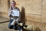 Ullarverslun í verksmiðju í fjárhúsi sem er ekki lengur í notkun