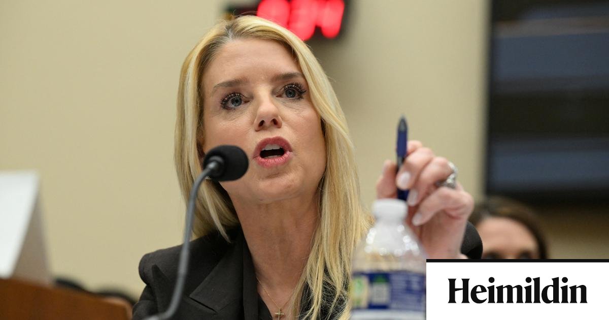 „Þú ert lúser lögfræðingur“