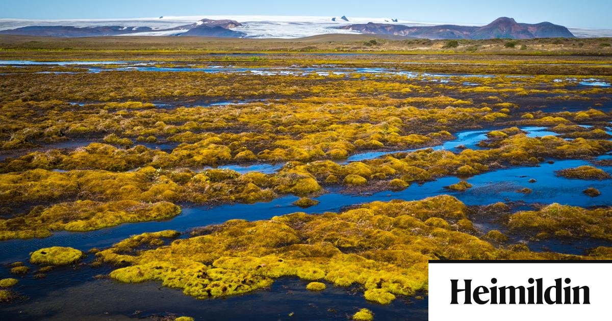 Getur Ísland staðið við alþjóðlegar skuldbindingar um náttúruvernd utan Evrópusambandsins?