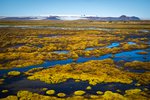 Atlaga að Þjórsárverum eða afleikur í boði ríkisstjórnarflokkanna?
