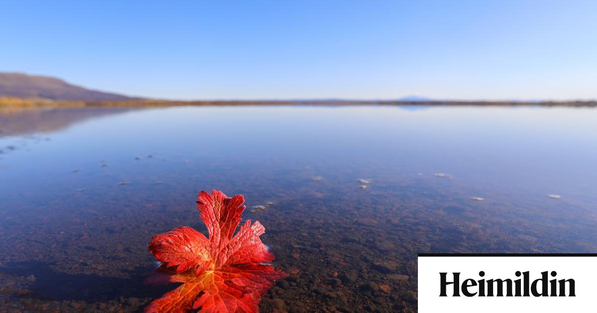 Hinn kaldi raunveruleiki: Þess vegna þurfum við að eiga möguleika á ...