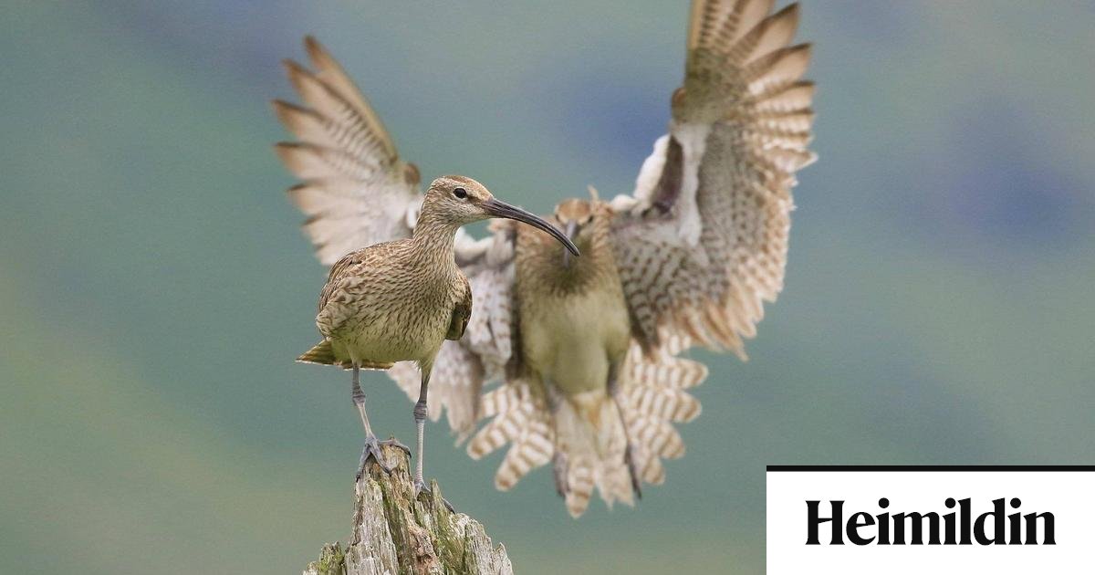 Að viðhalda hugsunarhætti 20. aldar