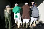 Eldri borgarar auglýsa eftir svartri vinnu vegna breytinganna um áramótin
