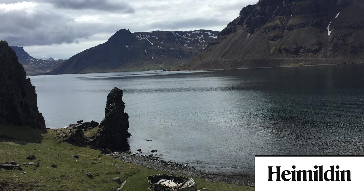 Karlremban við 60 gráður - Heimildin