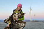 Hræðilega sorglegt og rangt