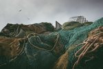 Græn hagstjórn fyrir fyrirtækin og heimilin í landinu