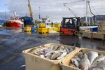 Hagnaður veiða og vinnslu og veiðigjaldið