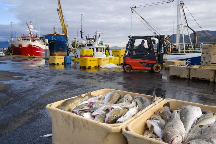 Hagnaður veiða og vinnslu og veiðigjaldið