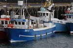 Eiginmaður þingmanns hefur veitt tíu hrefnur