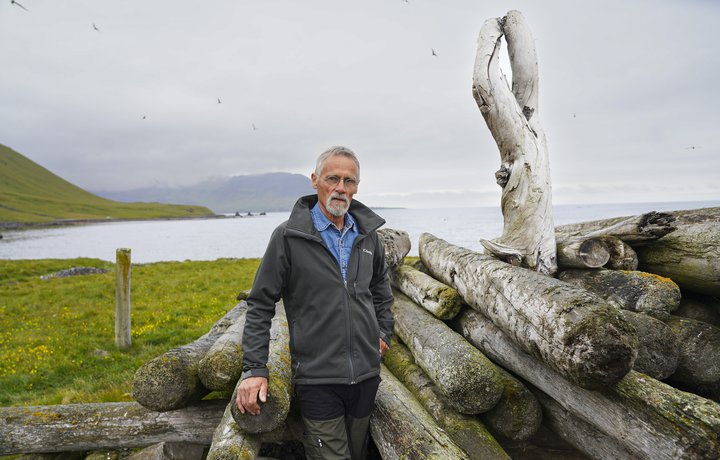 Ráðgátan um hvarf rekaviðarins