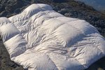 Dreymir um að koma íslenskum æðardúnssængum á alþjóðamarkað