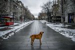 Styrkurinn í varnarleysinu