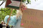 Meinað að styðja Palestínu í Pride-göngu Berlínar