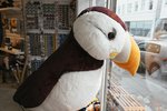 Fallið í ferðaþjónustunni: Þegar græðgi er ekki góð