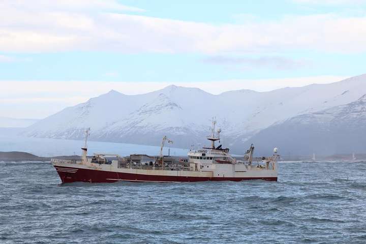 Fiskistofa telur Tasiilaq hafa brotið lög