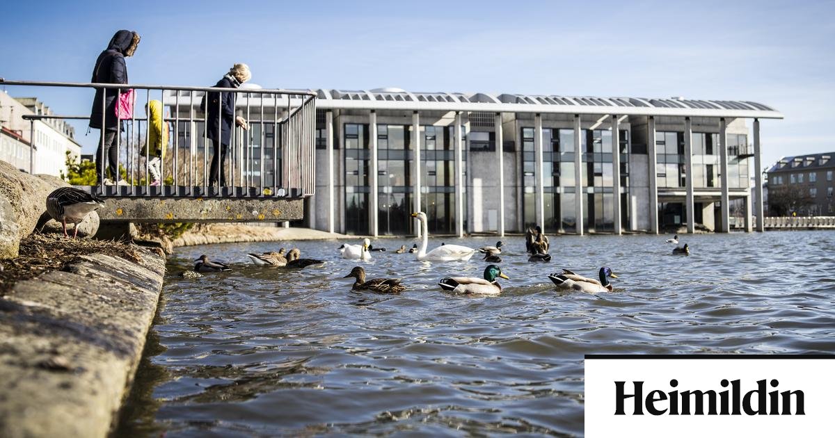 Borgin áætlar 260 milljóna kostnað vegna borgarstjórnarkosninganna