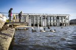 Borgin áætlar 260 milljóna kostnað vegna borgarstjórnarkosninganna