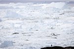 Ferðaþjónusta á hjara veraldar:  Grænlendingar læra af mistökum Íslendinga