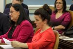 Vilja auka aðhald með ráðherrum fyrir kosningar