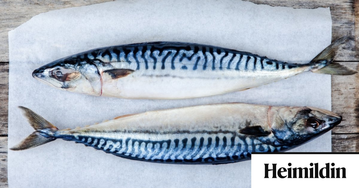 Evrópusambandið samþykkir ofveiði á makríl