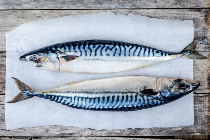 Evrópusambandið samþykkir ofveiði á makríl