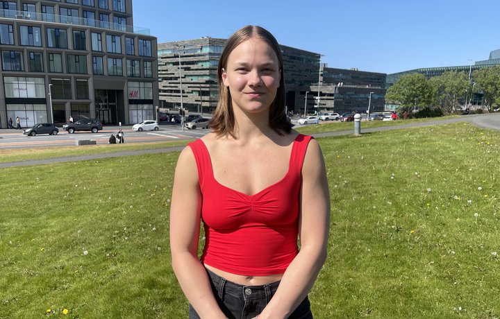 „Ekkert eðlilegt að vera uppi á einhverri slá að gera heljarstökk“