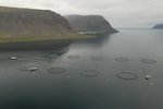 Skólarnir hættu að vinna með Landvernd vegna gagnrýni á laxeldi