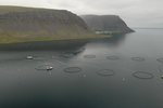 Skrifstofustjóri í ráðuneyti sendi trúnaðargögn til ráðgjafa Arnarlax