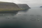 Kæran sagði Jóhann hafa hyglað Arnarlaxi í ráðuneytinu