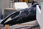 Leiðarahöfundur Morgunblaðsins með skutulinn í rassinum