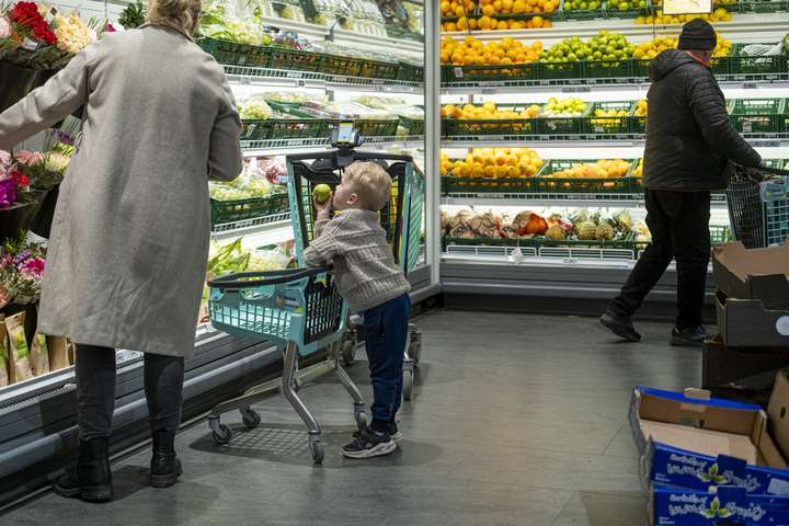 Ísland „viðkvæmt fyrir ytri áföllum“ vegna innflutnings lykilhráefna