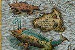 Var „sælunga“ Pýþeasar þá við Íslandsstrendur?