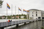 Vilja flagga friðarfána